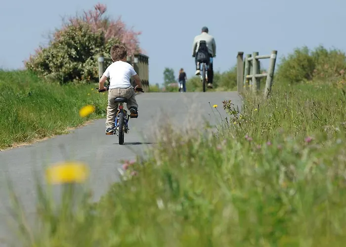 Le Clos Des Pins Campeggio Longeville-sur-Mer