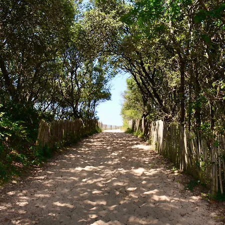 Le Clos Des Pins 4*