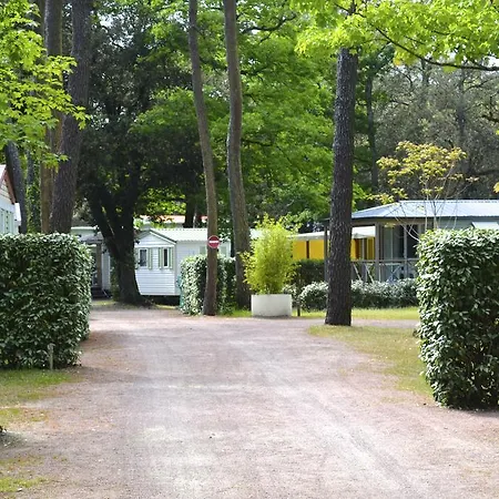 Le Clos Des Pins 캠프장